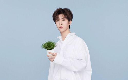 白鹿范丞丞爆料视频,娱乐圈幕后真相曝光 第1张 白鹿范丞丞爆料视频,娱乐圈幕后真相曝光 第1张