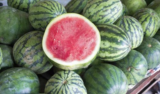 江西网红吃瓜视频播放,揭秘网络红人的幕后故事 第2张 江西网红吃瓜视频播放,揭秘网络红人的幕后故事 第2张